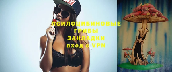 сатива Аркадак