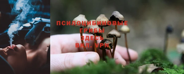 MDMA Армянск