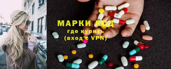 сатива Аркадак