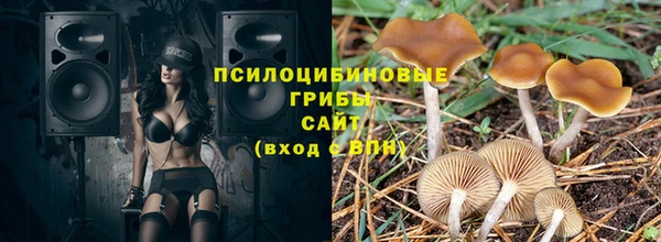 сатива Аркадак